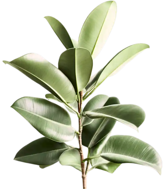 İletişim 2 d60432d0 882f 40d1 9f5d cc313469e95a