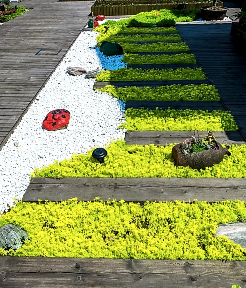 Delice Peyzaj ile Milas’ta Profesyonel Bahçe Düzenleme