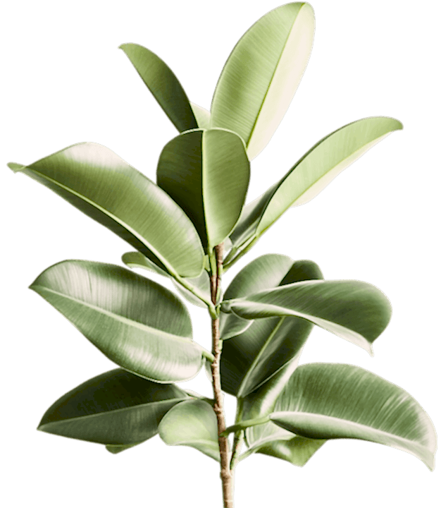 Milas Peyzaj 2 milas peyzaj firma