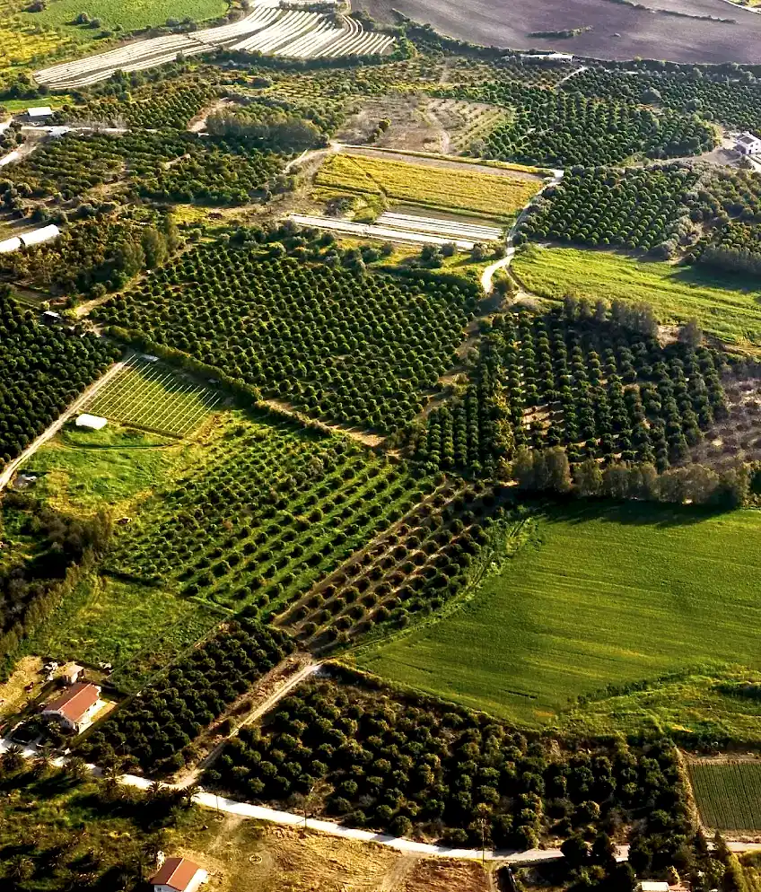Milas Peyzaj – Milas’ın Doğayla Uyumlu Yaşam Alanı Uzmanı